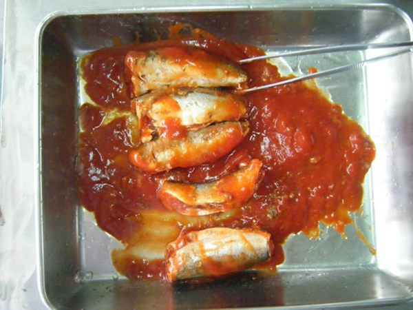 mackerel in tomato sauce