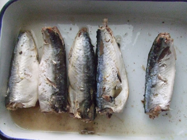 Mackerel in Brine