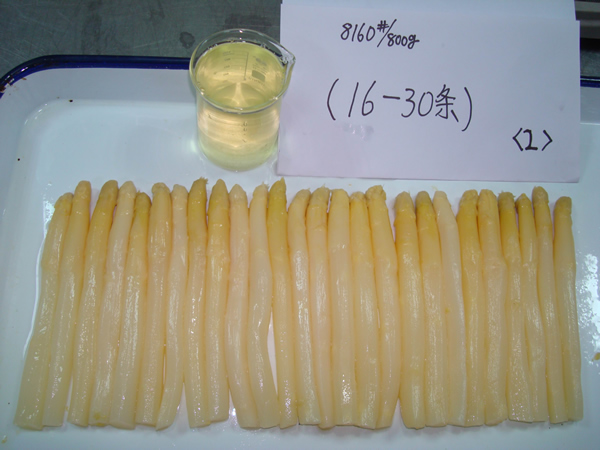 White Asparagus